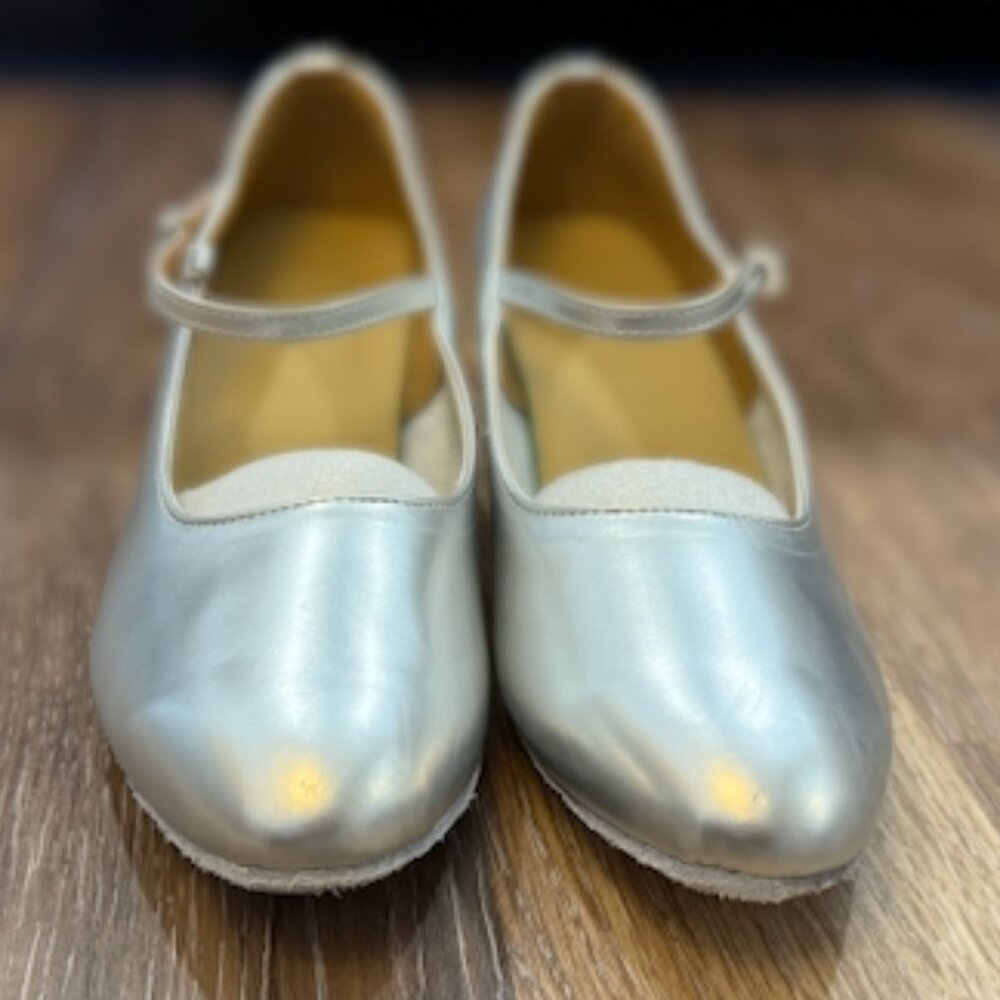 Silver Leather Low Heel Latin Ballroom Dance Shoes / Dance and Sway